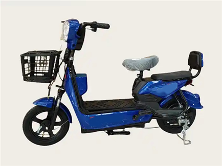 兩輪電動自行車